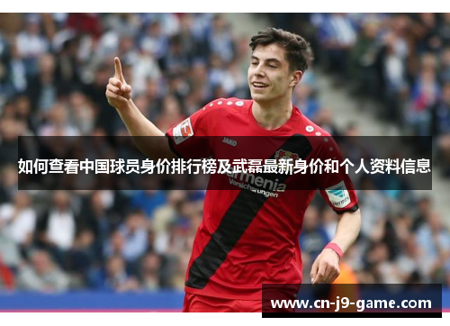 如何查看中国球员身价排行榜及武磊最新身价和个人资料信息 如何查看中国球员身价排行榜及武磊最新身价和个人资料信息