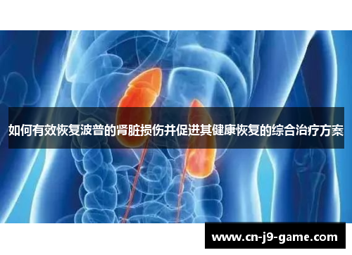 如何有效恢复波普的肾脏损伤并促进其健康恢复的综合治疗方案 如何有效恢复波普的肾脏损伤并促进其健康恢复的综合治疗方案