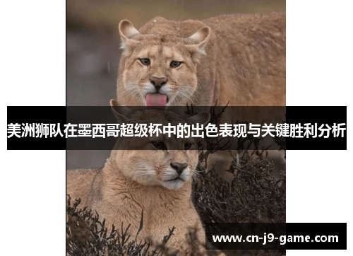 美洲狮队在墨西哥超级杯中的出色表现与关键胜利分析 美洲狮队在墨西哥超级杯中的出色表现与关键胜利分析