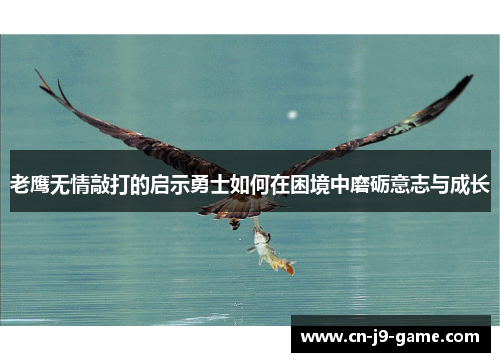 老鹰无情敲打的启示勇士如何在困境中磨砺意志与成长 老鹰无情敲打的启示勇士如何在困境中磨砺意志与成长